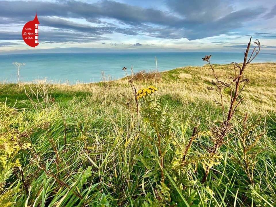 Villa Saint Jacques, Appart La Mer Le Tréport Exteriör bild