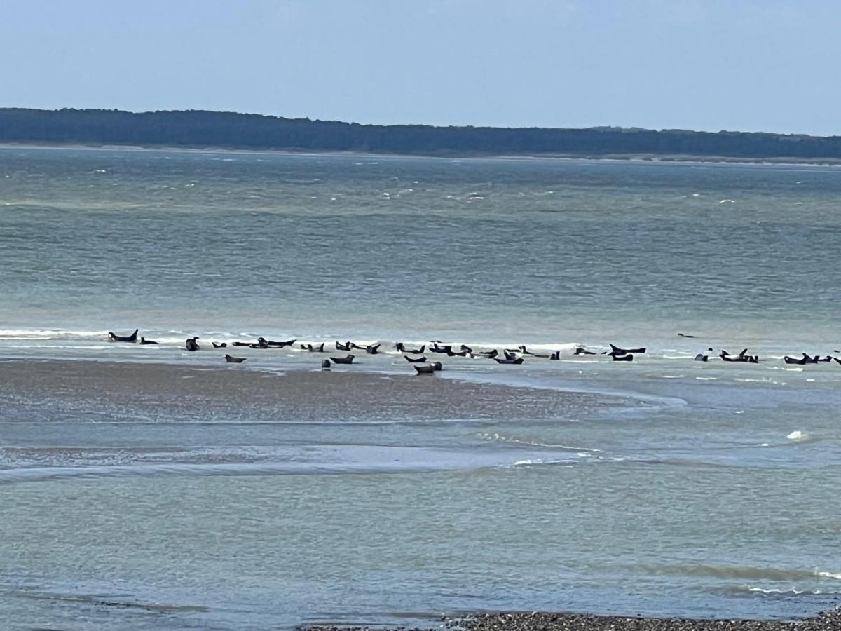 Villa Saint Jacques, Appart La Mer Le Tréport Exteriör bild